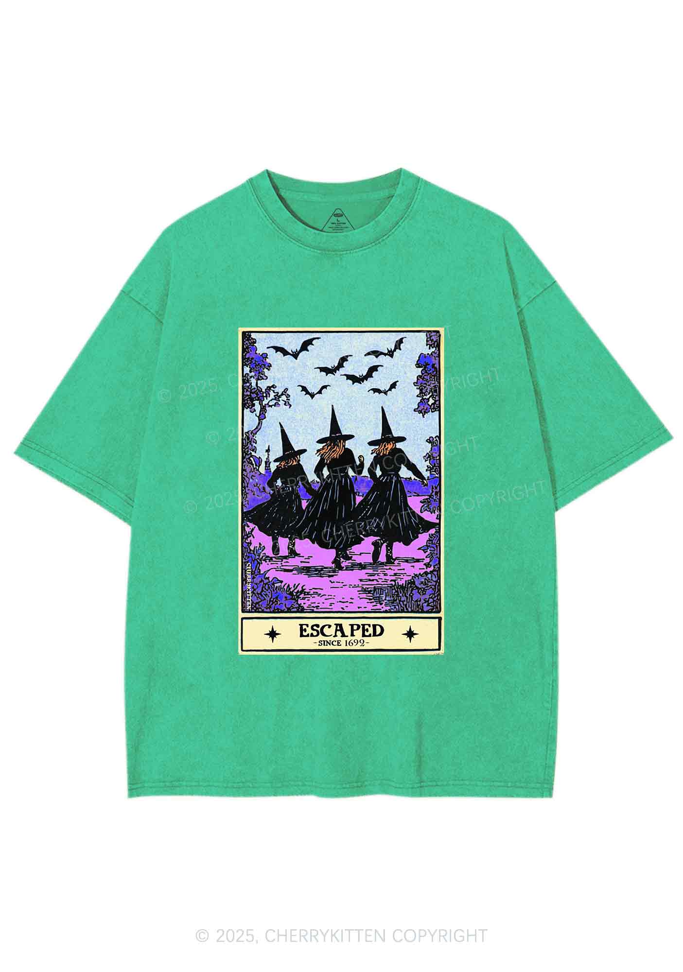 Halloween Escaped Witch Y2K Shirts Washed Tee Cherrykitten