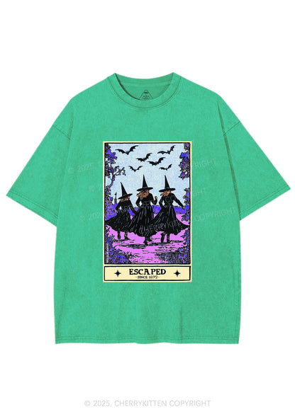 Halloween Escaped Witch Y2K Shirts Washed Tee Cherrykitten