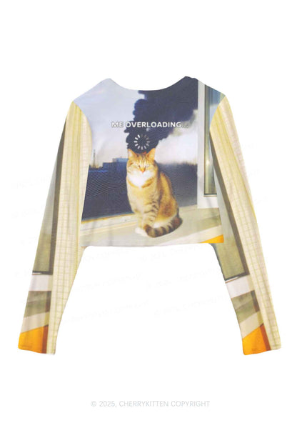 The Overloading Cat Y2K Mesh Long Sleeve Crop Top Cherrykitten
