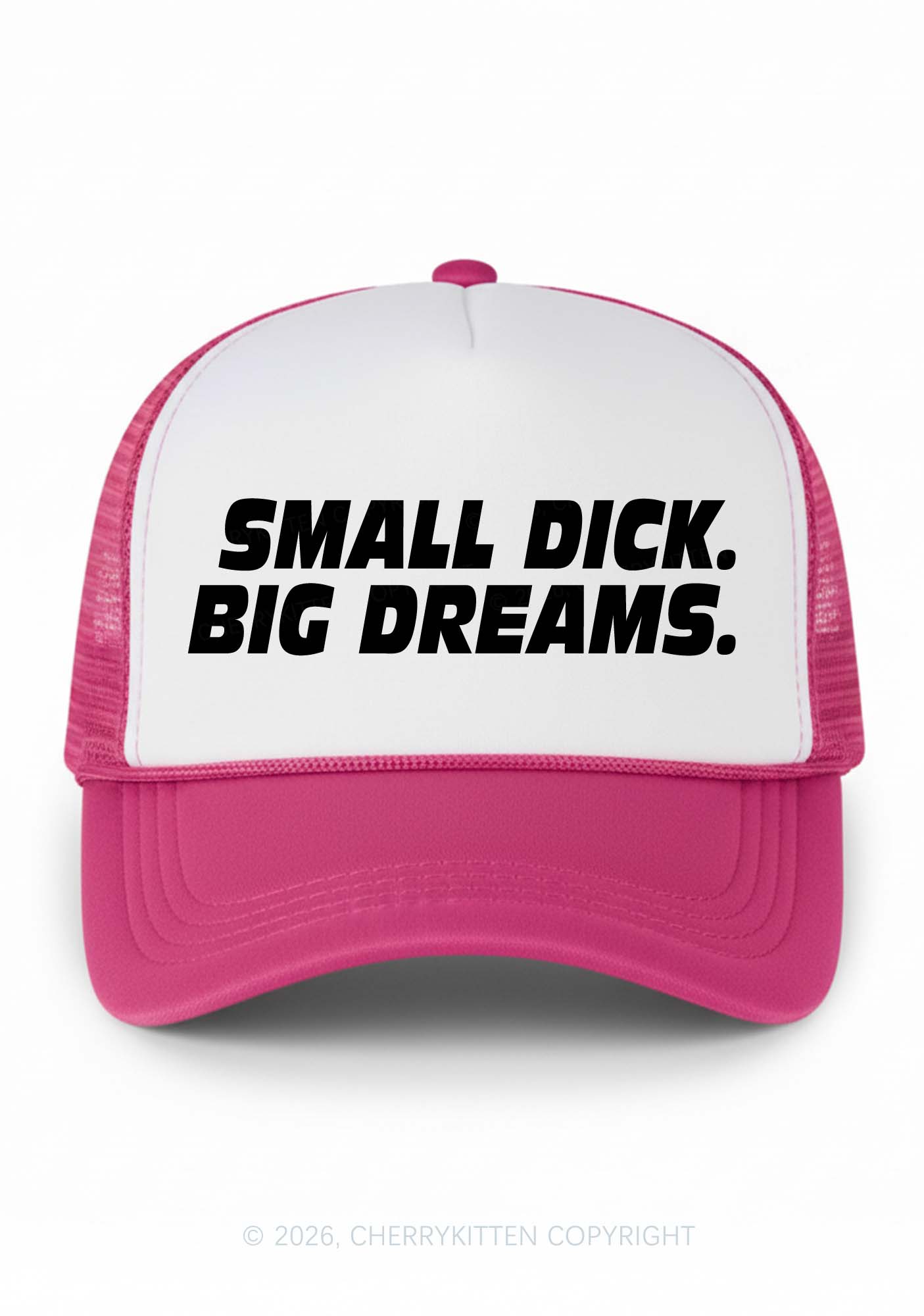 Small Dxxk Big Dreams Y2K Colorblock Trucker Hat Cherrykitten