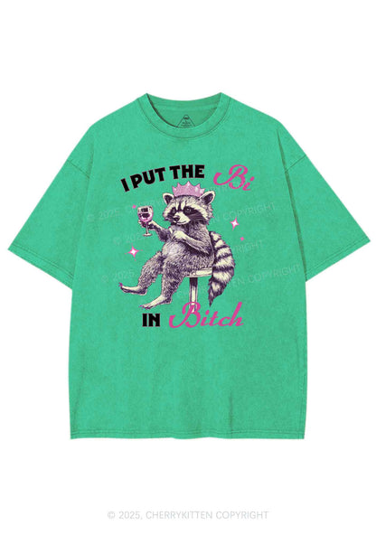 Bi Bxxch Raccoon Pride Y2K Shirts Washed Tee Cherrykitten