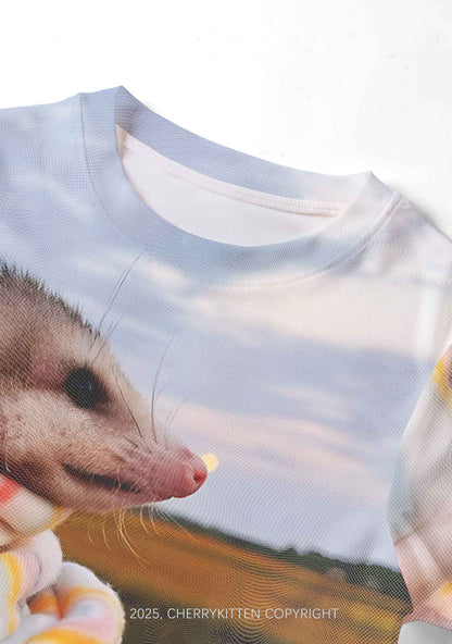 Cold Rat Y2K Mesh Crop Top Cherrykitten
