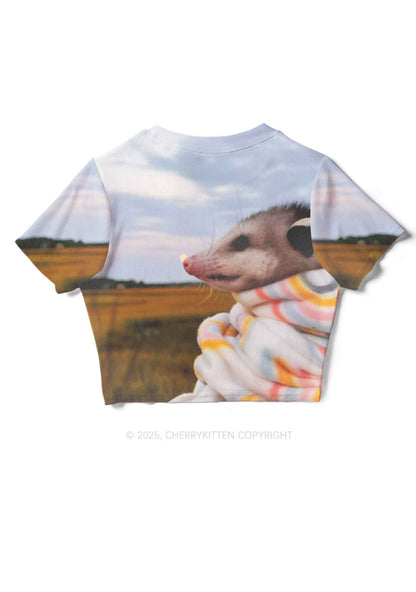 Cold Rat Y2K Mesh Crop Top Cherrykitten