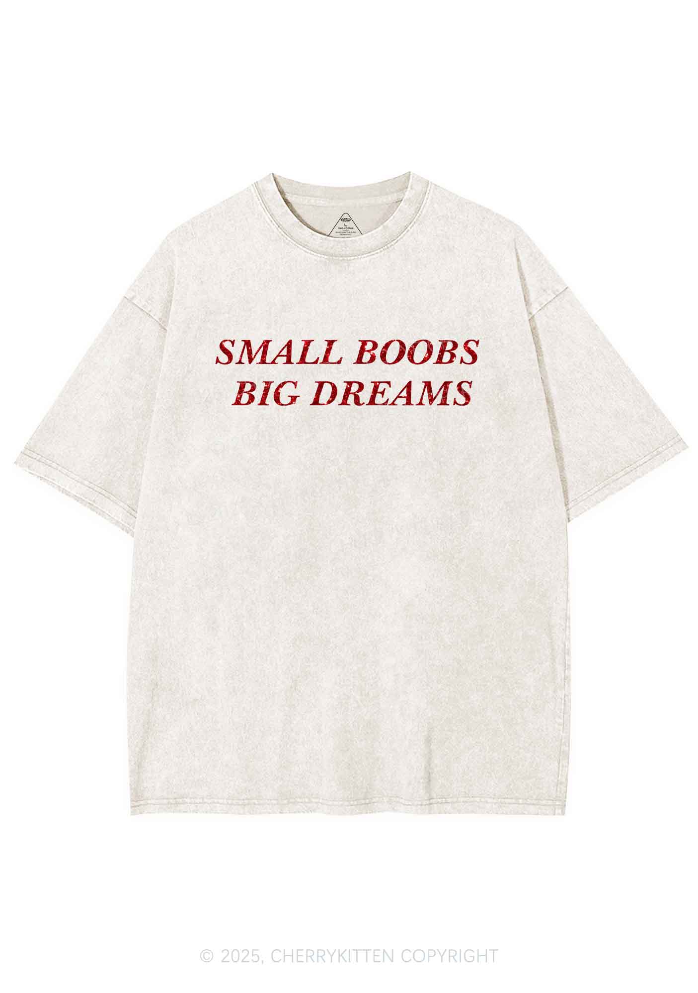 Glitter Small But Big Dreams Y2K Shirts Washed Tee Cherrykitten