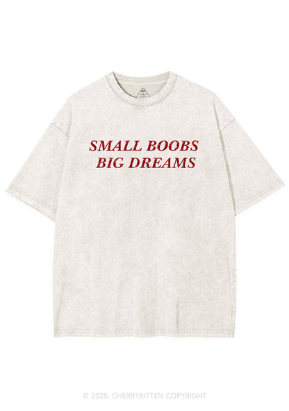 Glitter Small But Big Dreams Y2K Shirts Washed Tee Cherrykitten