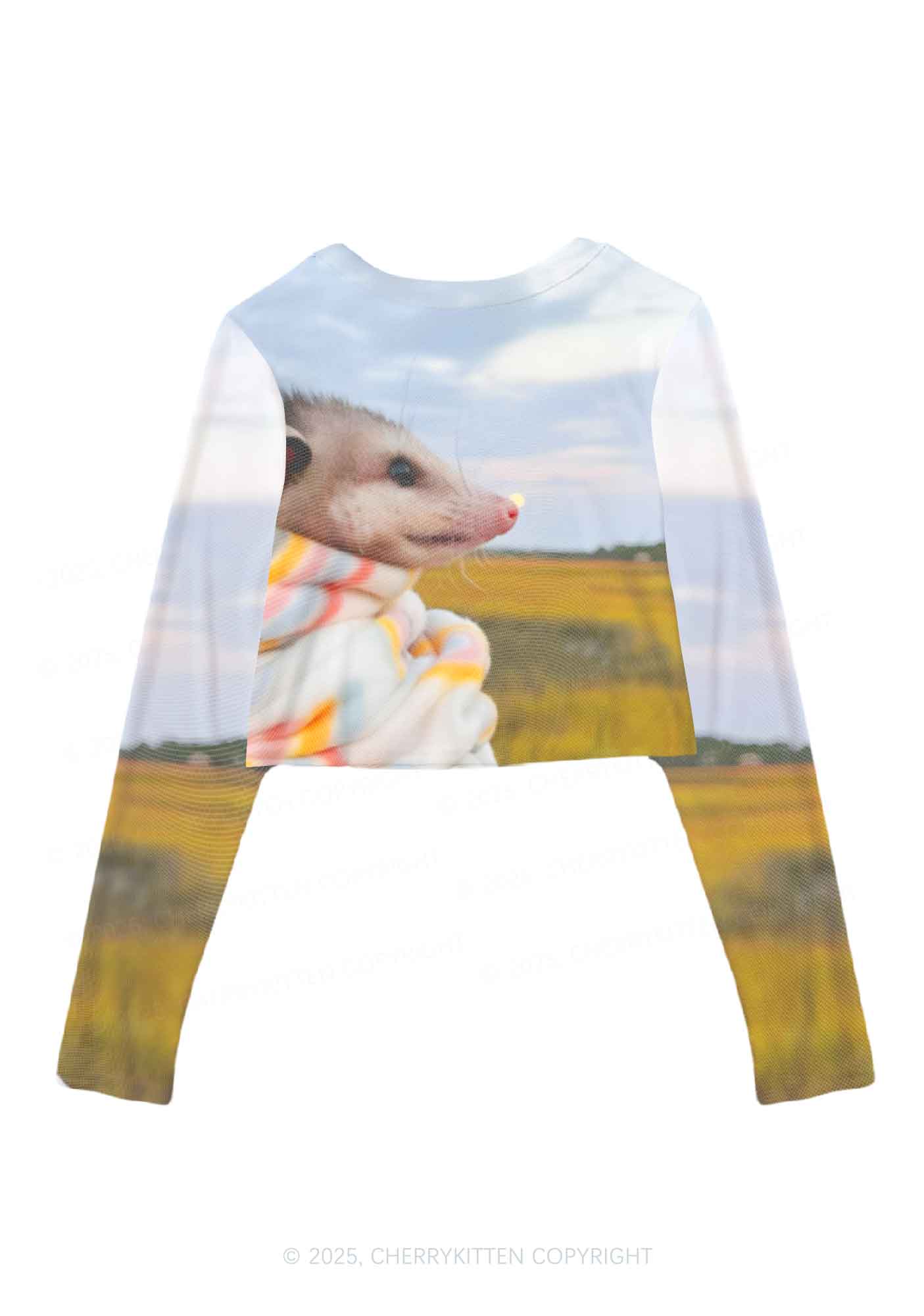 Cold Rat Y2K Mesh Long Sleeve Crop Top Cherrykitten