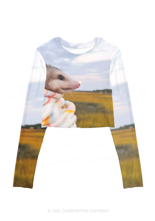 Cold Rat Y2K Mesh Long Sleeve Crop Top Cherrykitten