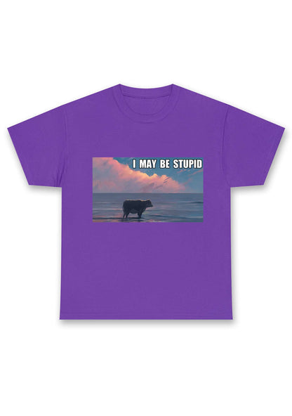 I May Be Stupid Meme Chunky Shirt