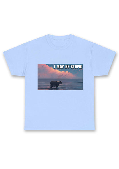 I May Be Stupid Meme Chunky Shirt
