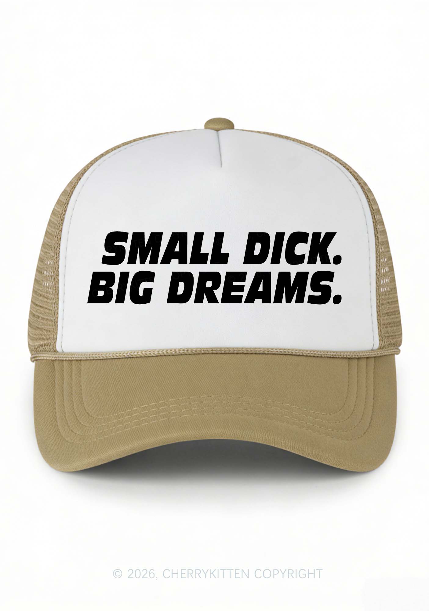 Small Dxxk Big Dreams Y2K Colorblock Trucker Hat Cherrykitten