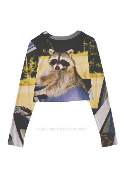 Raccoon Driver Y2K Mesh Long Sleeve Crop Top Cherrykitten