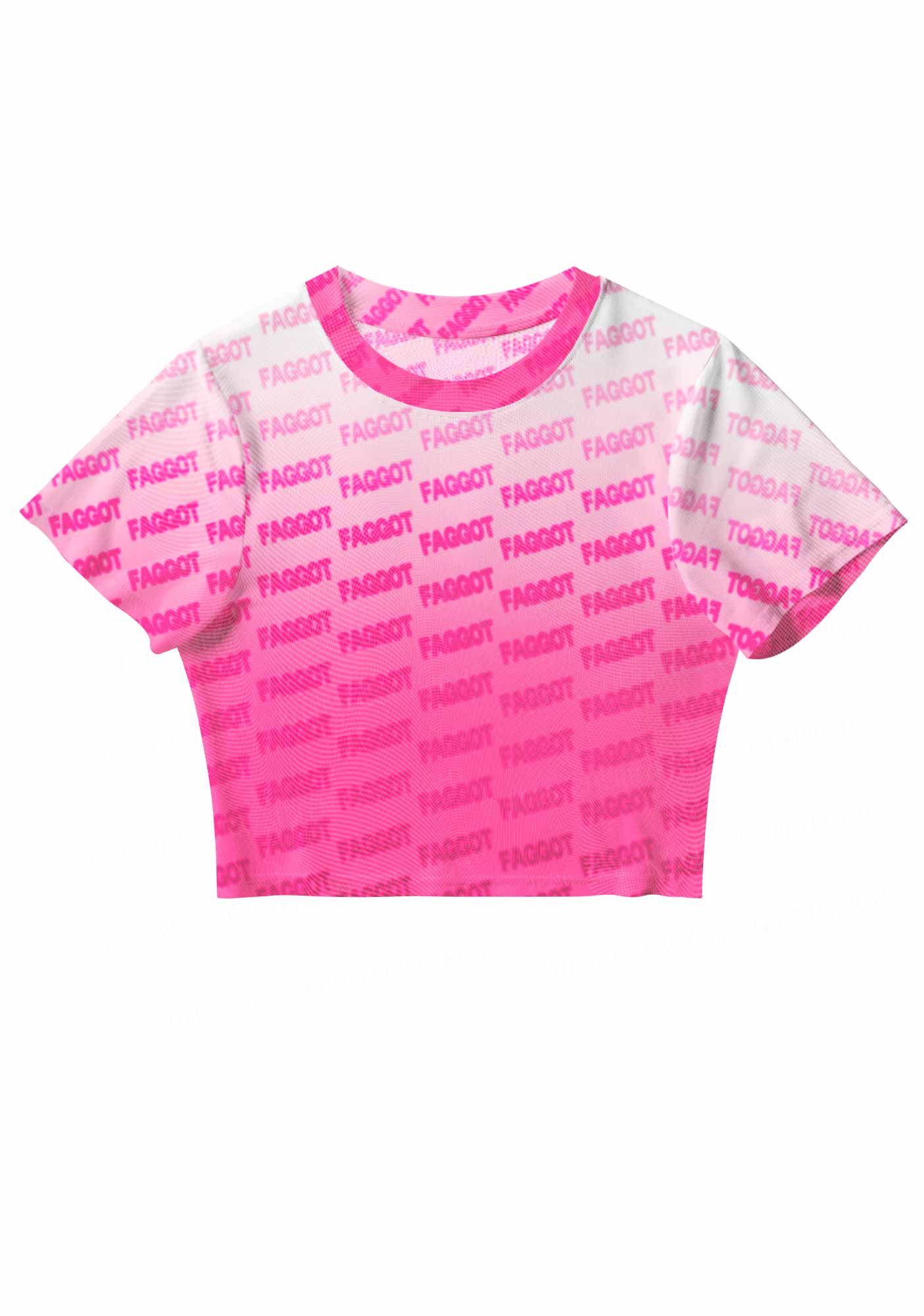 Faded Pink Faggot Pride Y2K Mesh Crop Top Cherrykitten