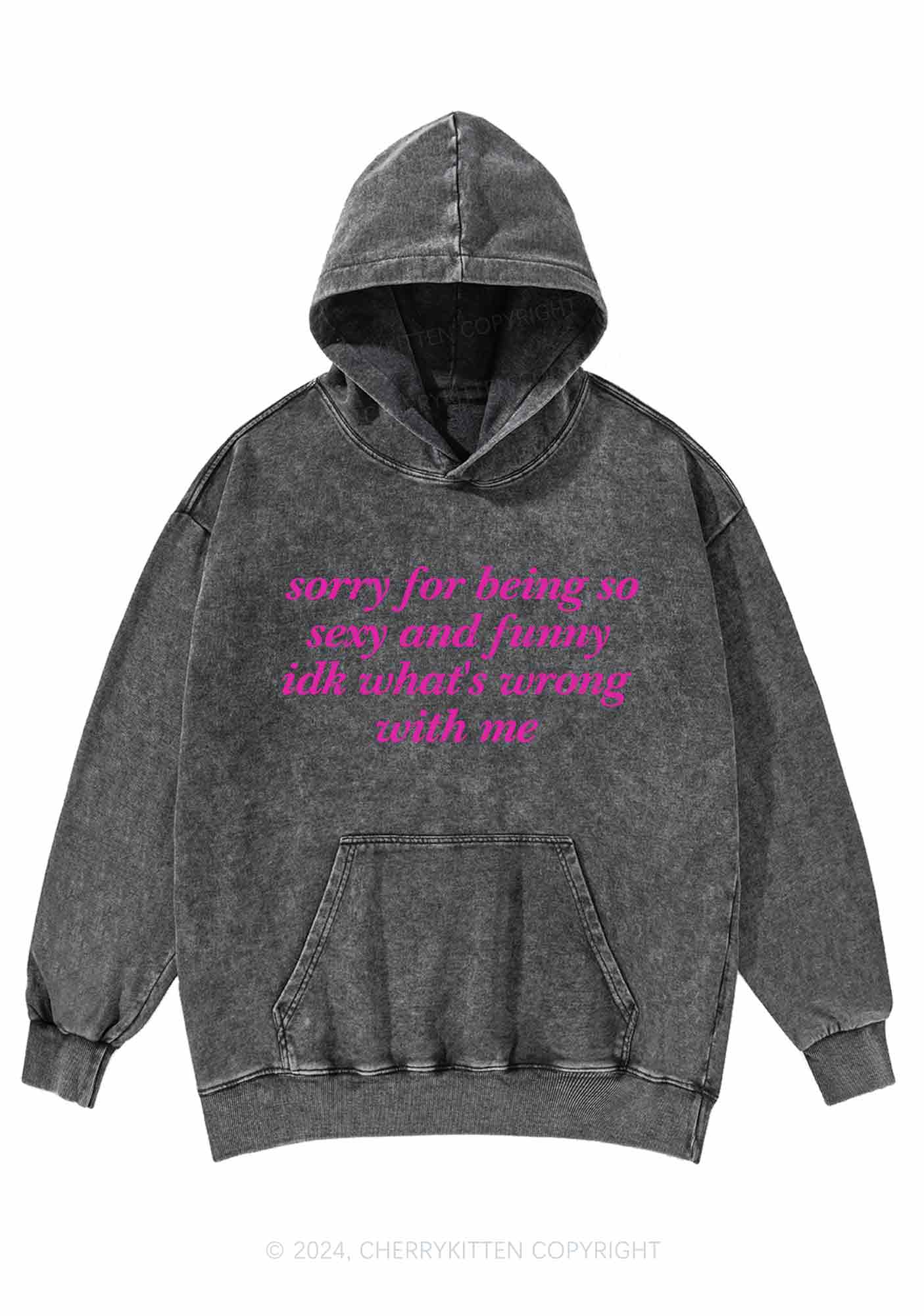 Sorry For Being So Funny Y2K Washed Hoodie Cherrykitten