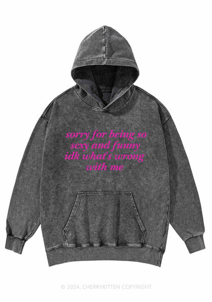 Sorry For Being So Funny Y2K Washed Hoodie Cherrykitten