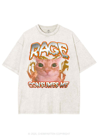 Rage Consumes Me Cat Y2K Shirts Washed Tee Cherrykitten