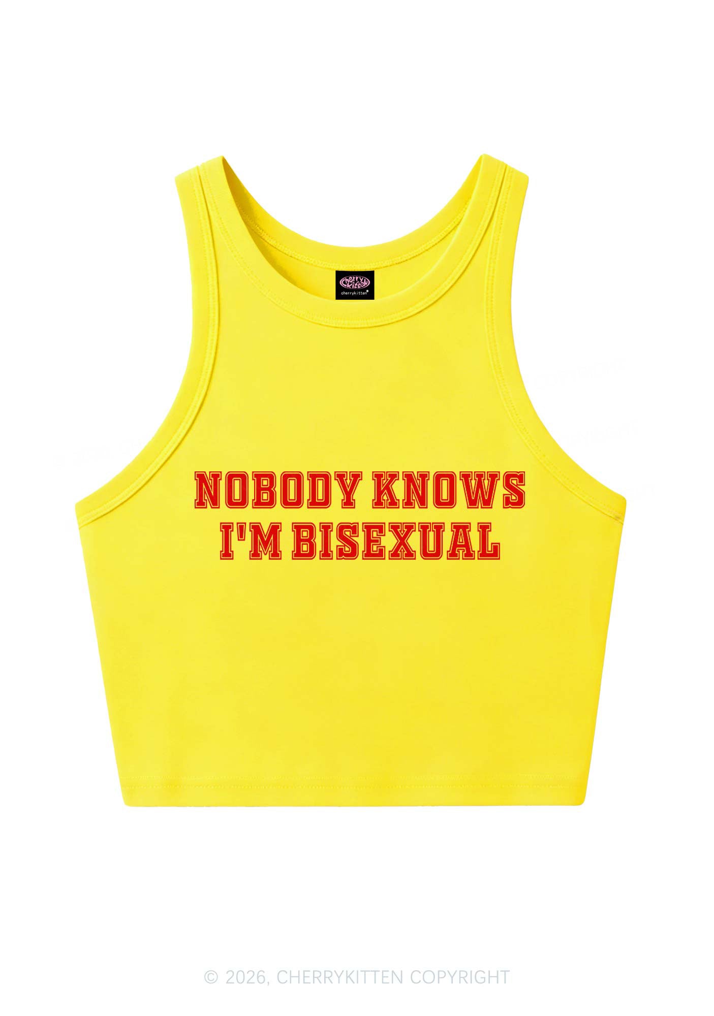Nobody Knows Im Bisexual Pride Y2K Crop Tank Top Cherrykitten