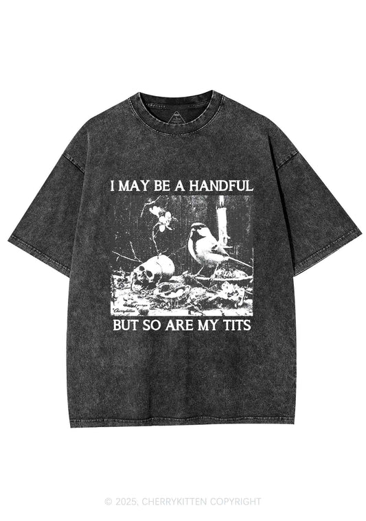 Halloween I May Be A Handful Y2K Shirts Washed Tee Cherrykitten