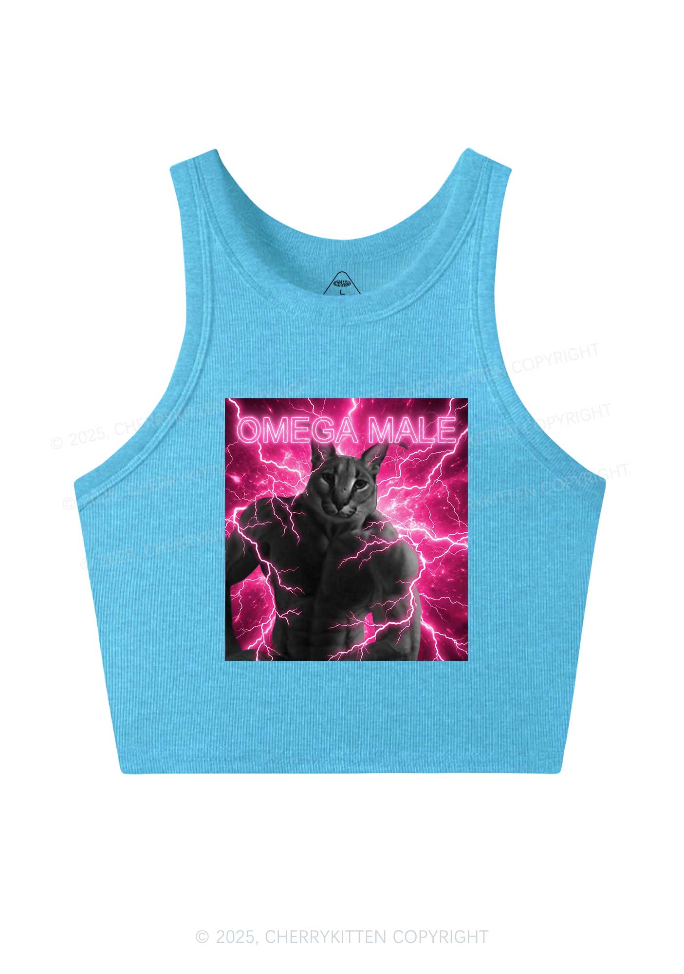 Omega Male Y2K Crop Tank Top Cherrykitten