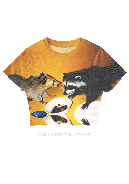 Raccoon Meal Y2K Mesh Crop Top Cherrykitten