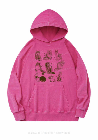 Retro Kitten Y2K Washed Hoodie Cherrykitten