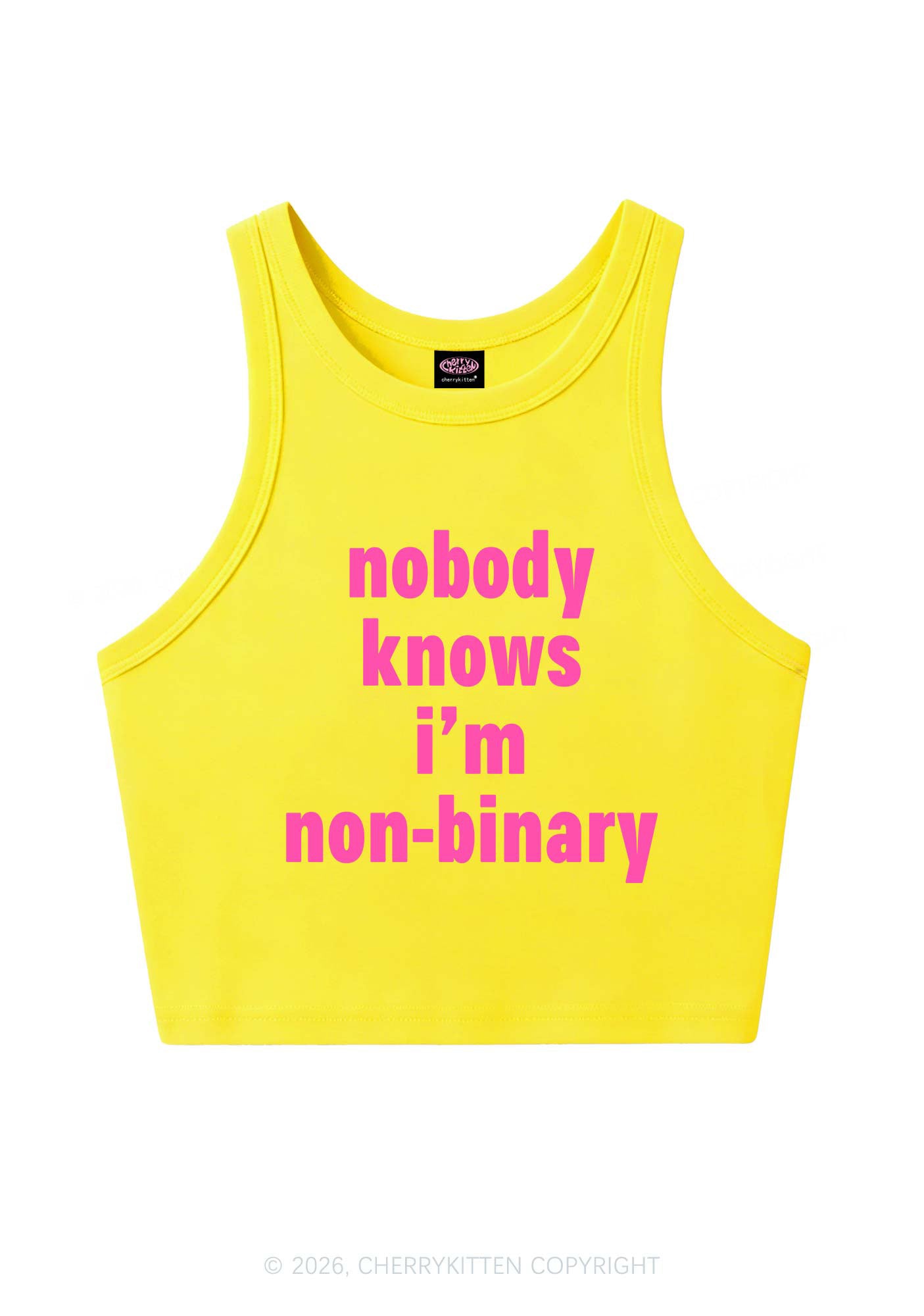 Nobody Knows Im Nonbinary Pride Y2K Crop Tank Top Cherrykitten