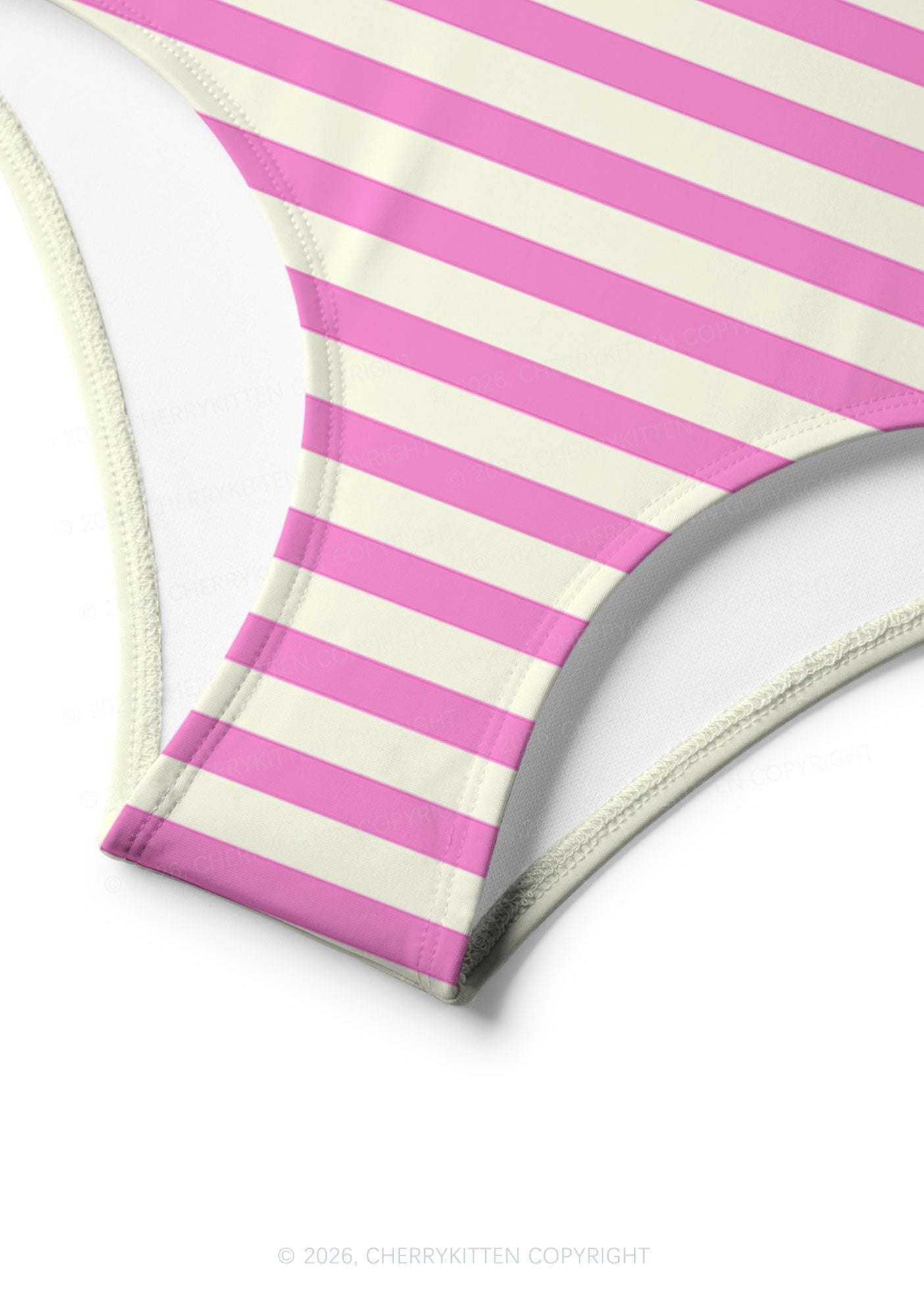 Pink Stripes Dyke Pride Y2K Print Bikini Set Cherrykitten