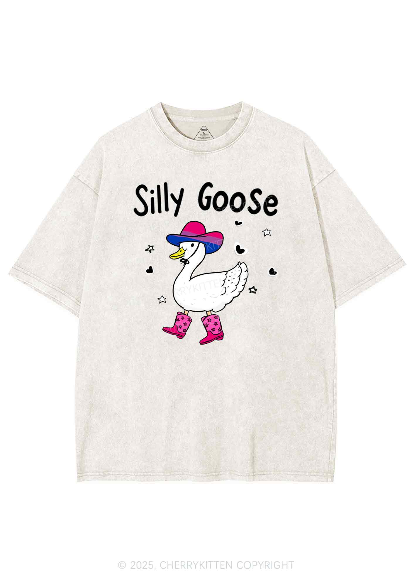 Silly Goose Bisexual Pride Y2K Shirts Washed Tee Cherrykitten