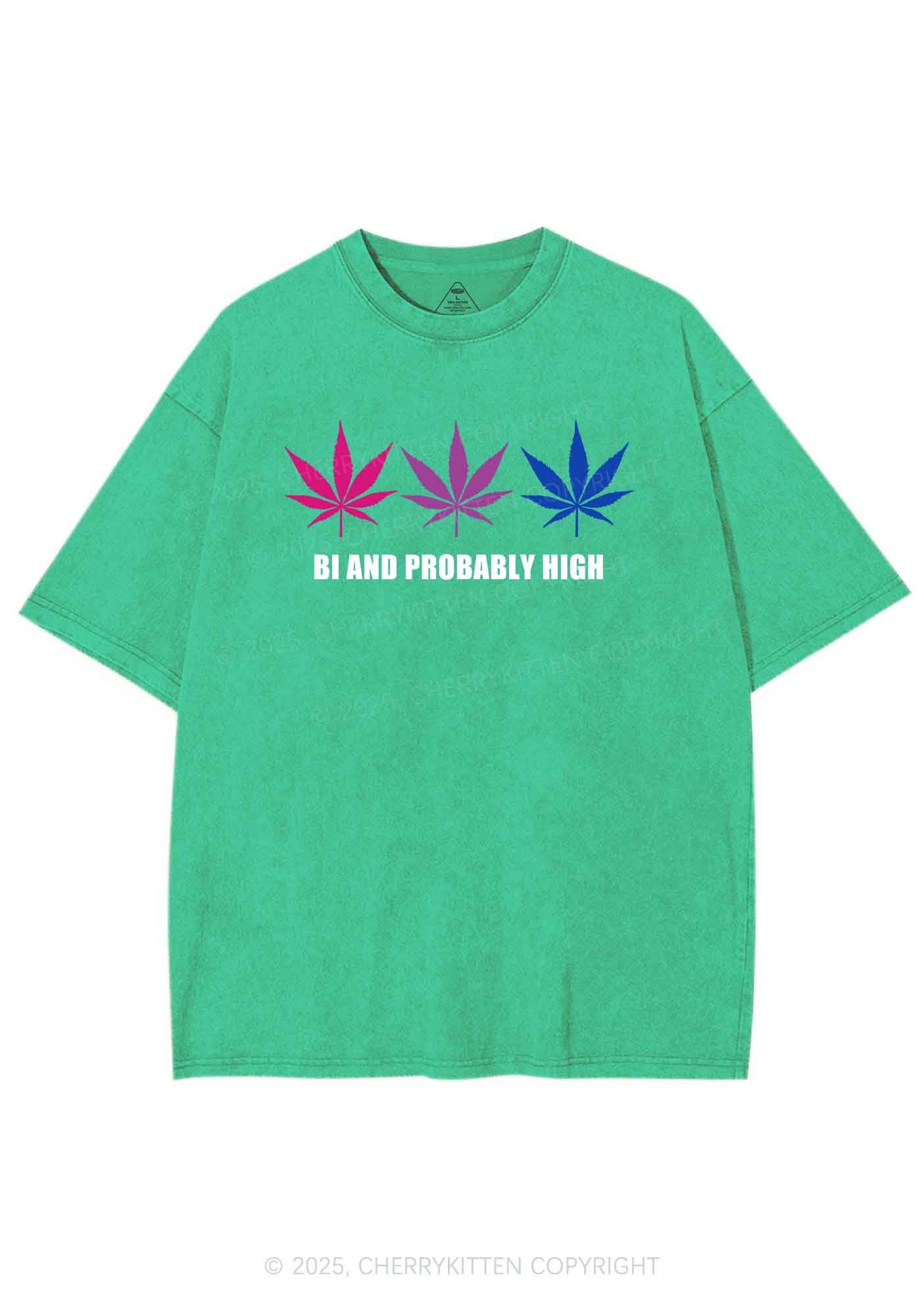 Bi Probably High Pride Y2K Shirts Washed Tee Cherrykitten