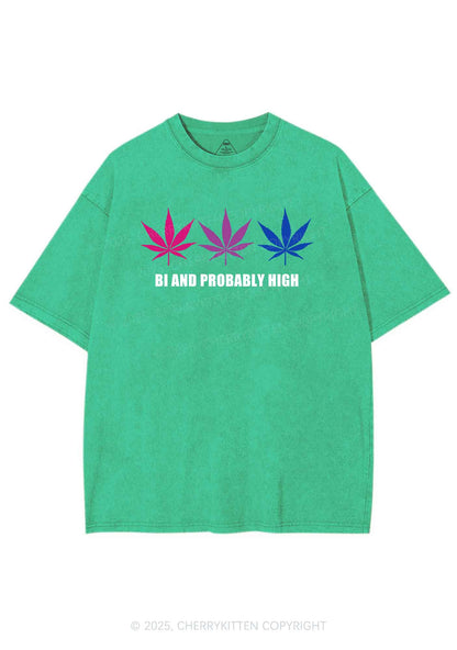 Bi Probably High Pride Y2K Shirts Washed Tee Cherrykitten