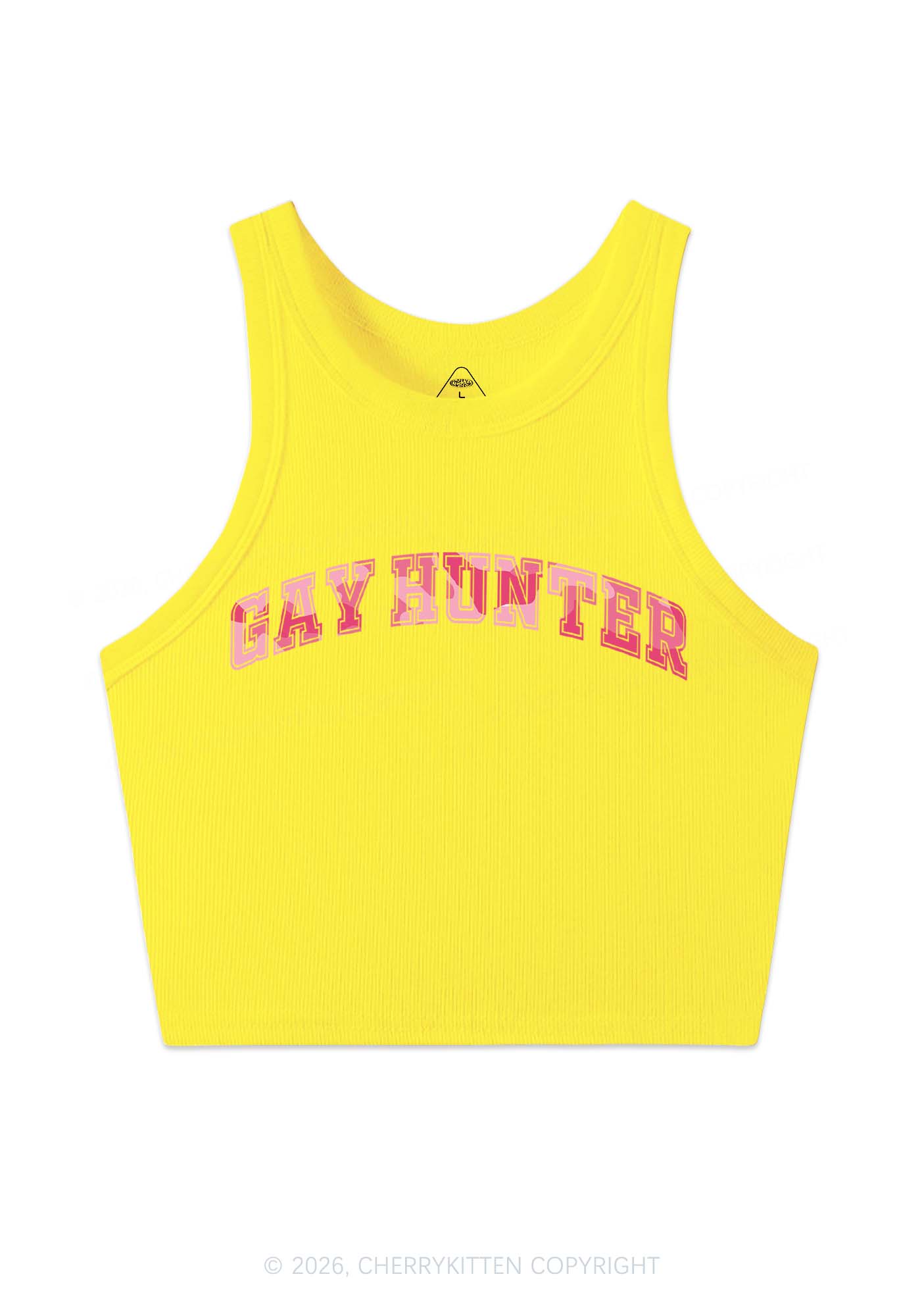 Gay Hunter Pride Y2K Crop Tank Top Cherrykitten