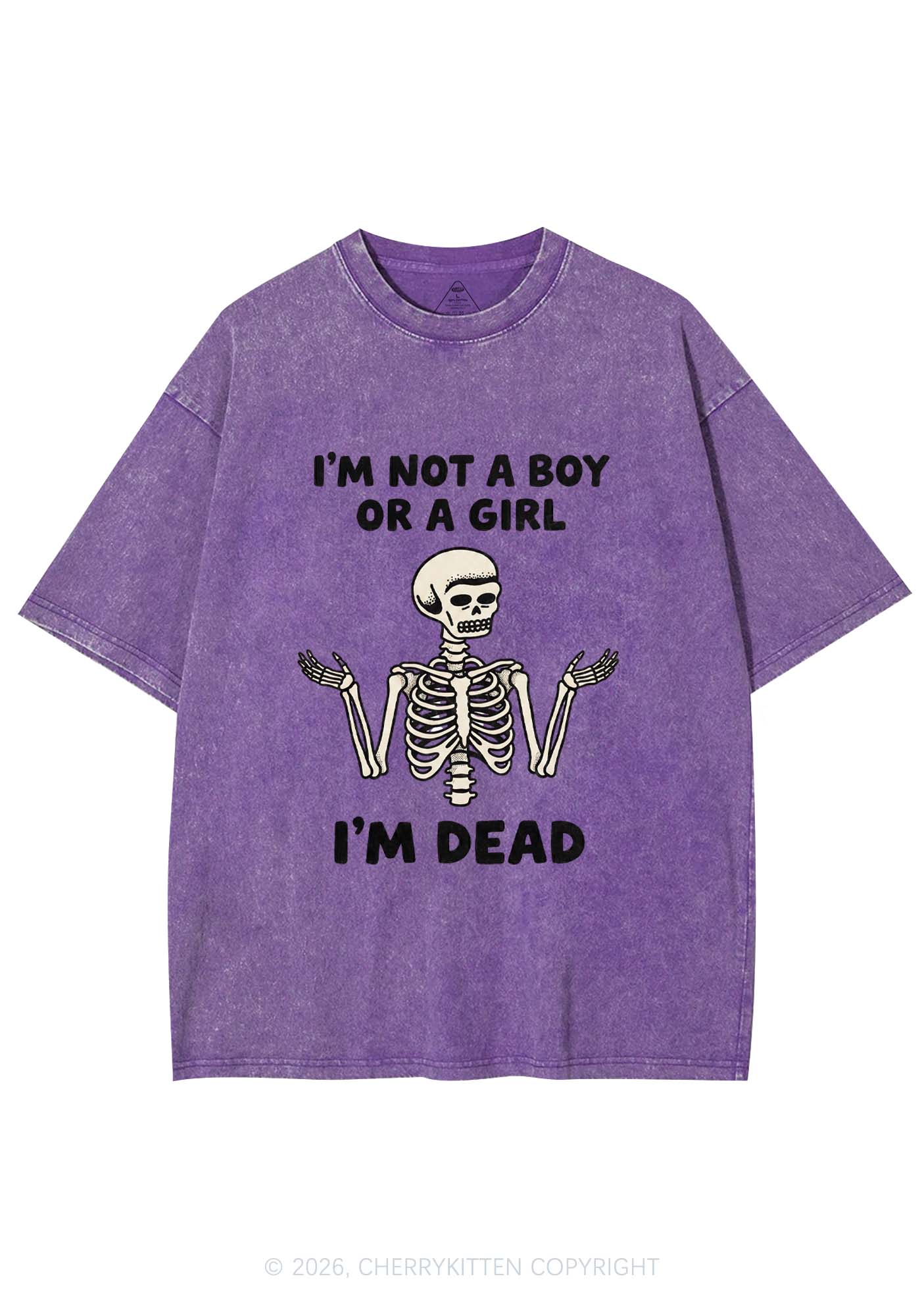 Im Not A Boy Or A Girl Pride Y2K Shirts Washed Tee Cherrykitten