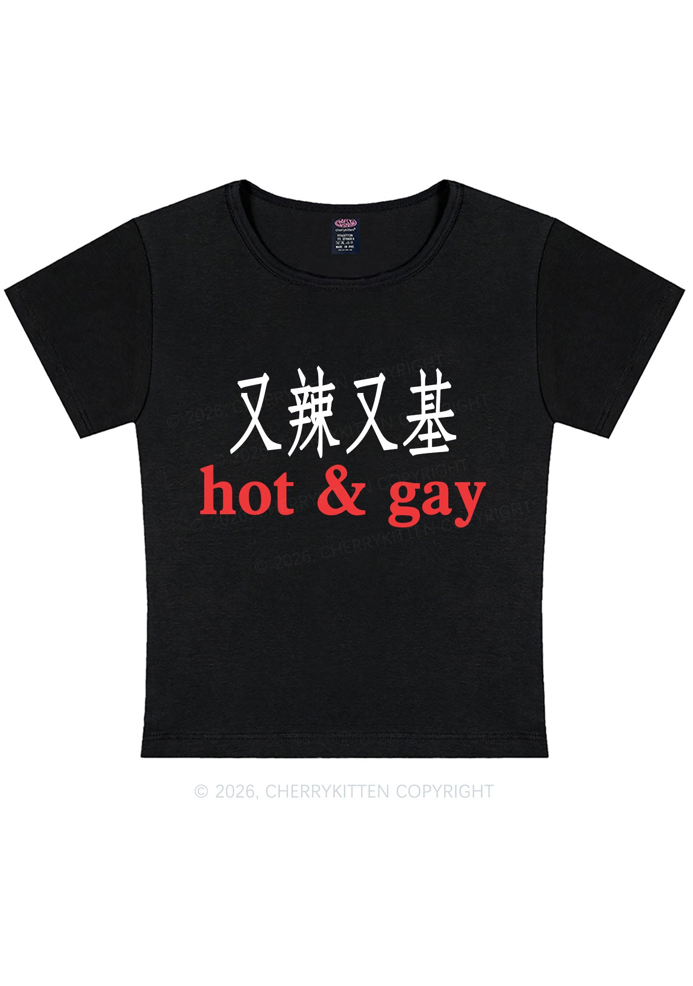 Hot Gay Pride Y2K Baby Tee Cherrykitten