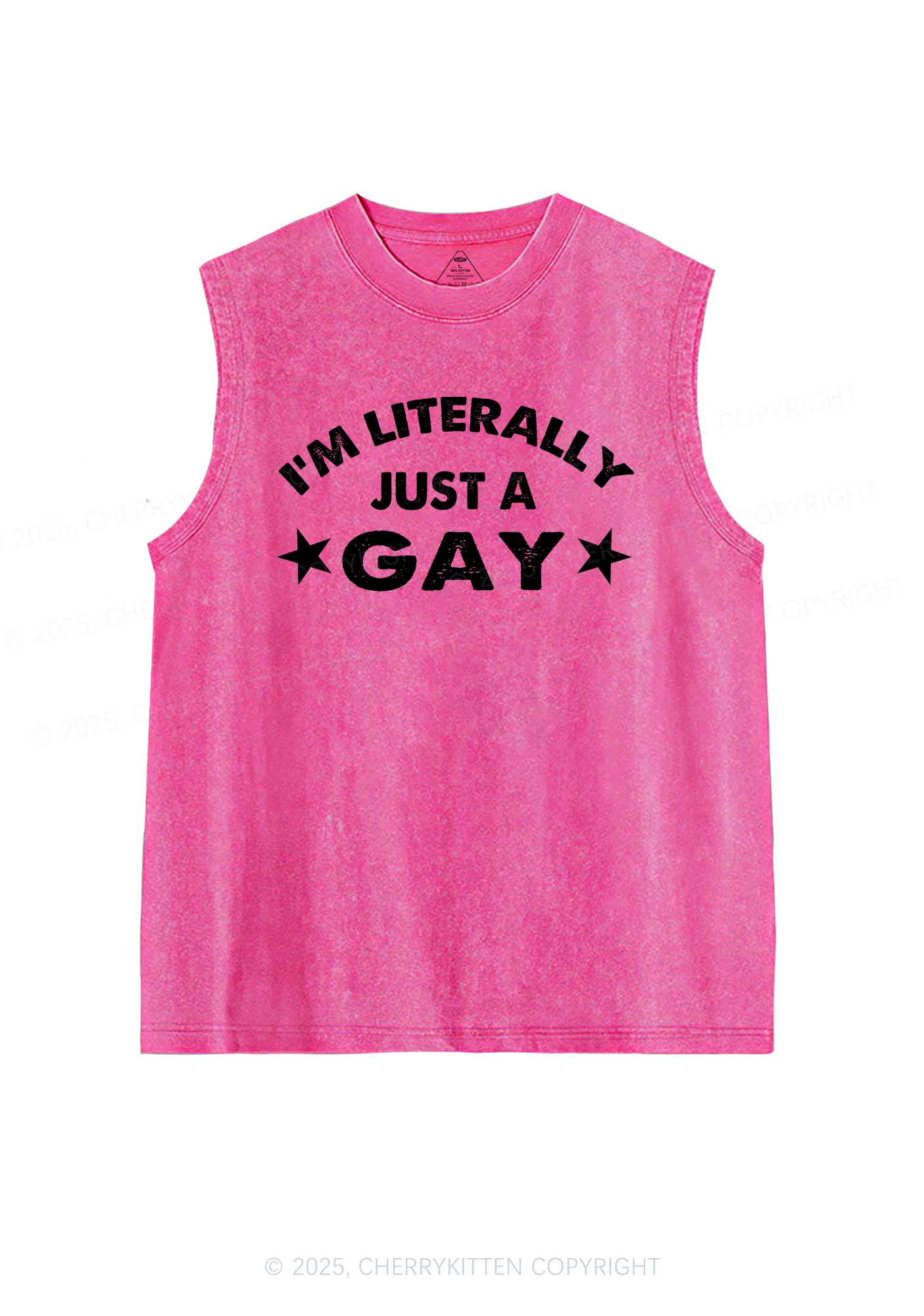 Literally Just A Gay Pride Y2K Washed Muscle Tank Cherrykitten