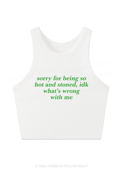 Sorry For Being Hot And Stoned Y2K Crop Tank Top Cherrykitten