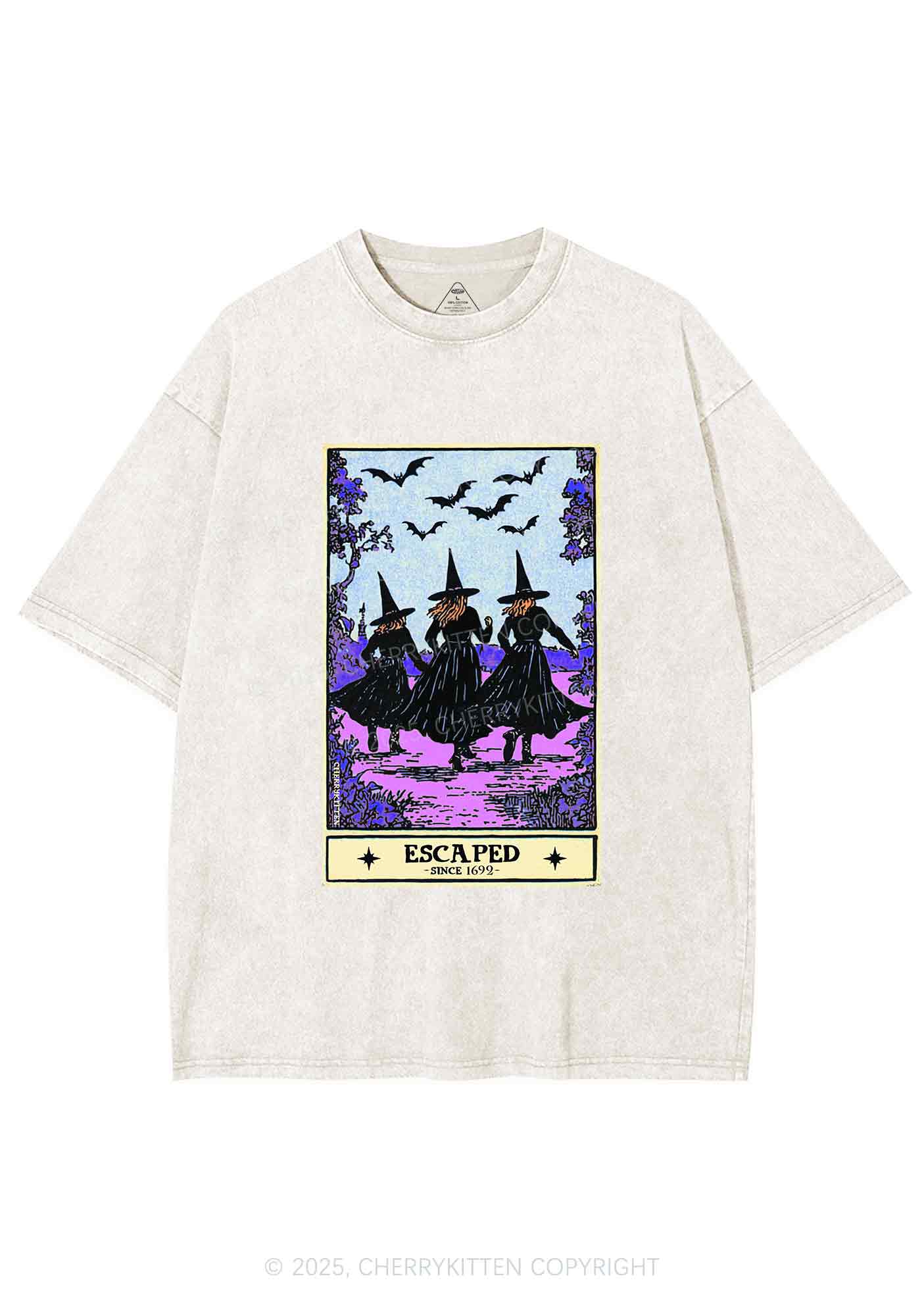 Halloween Escaped Witch Y2K Shirts Washed Tee Cherrykitten