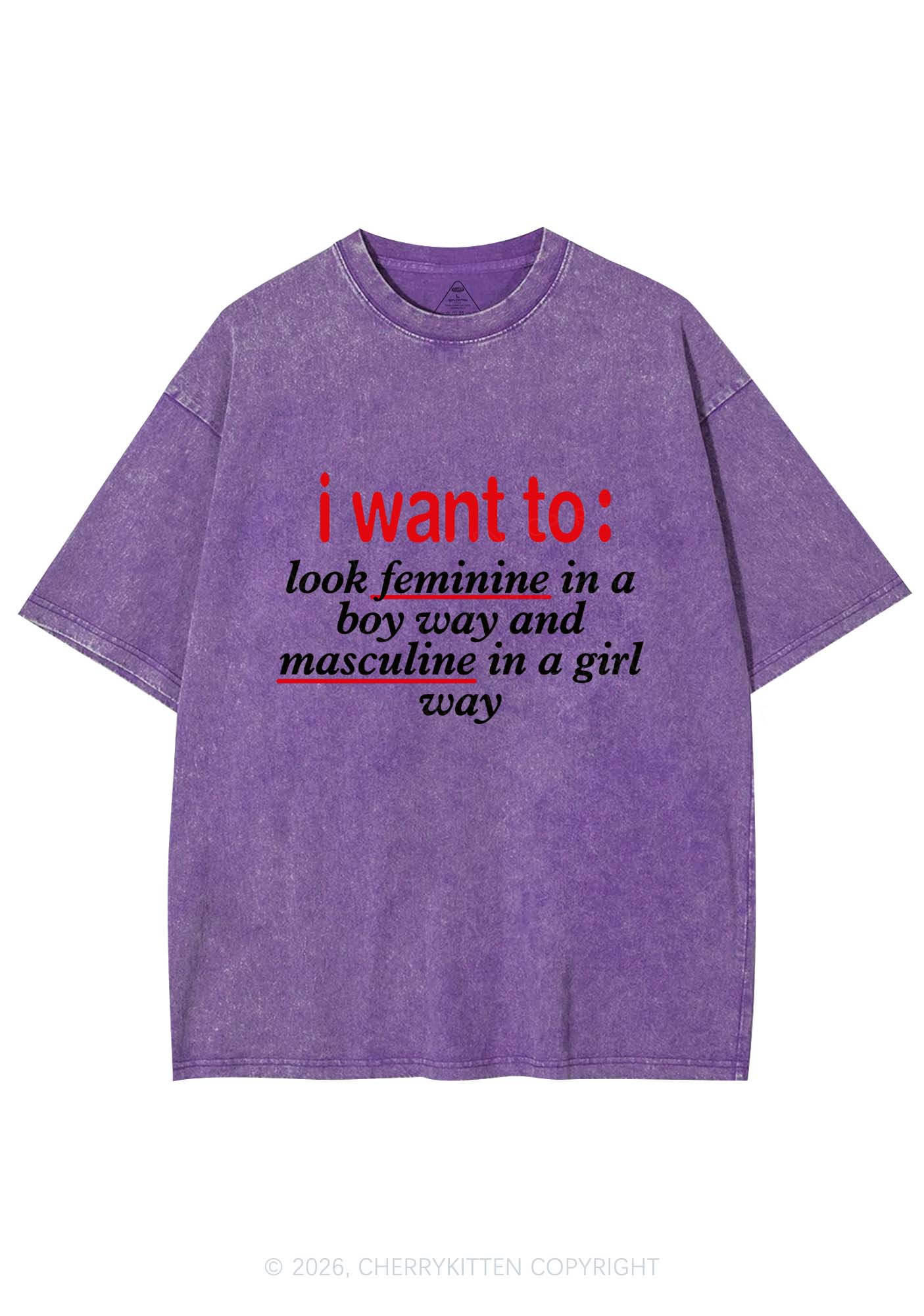 I Want To Feminine Masculine Pride Y2K Shirts Washed Tee Cherrykitten