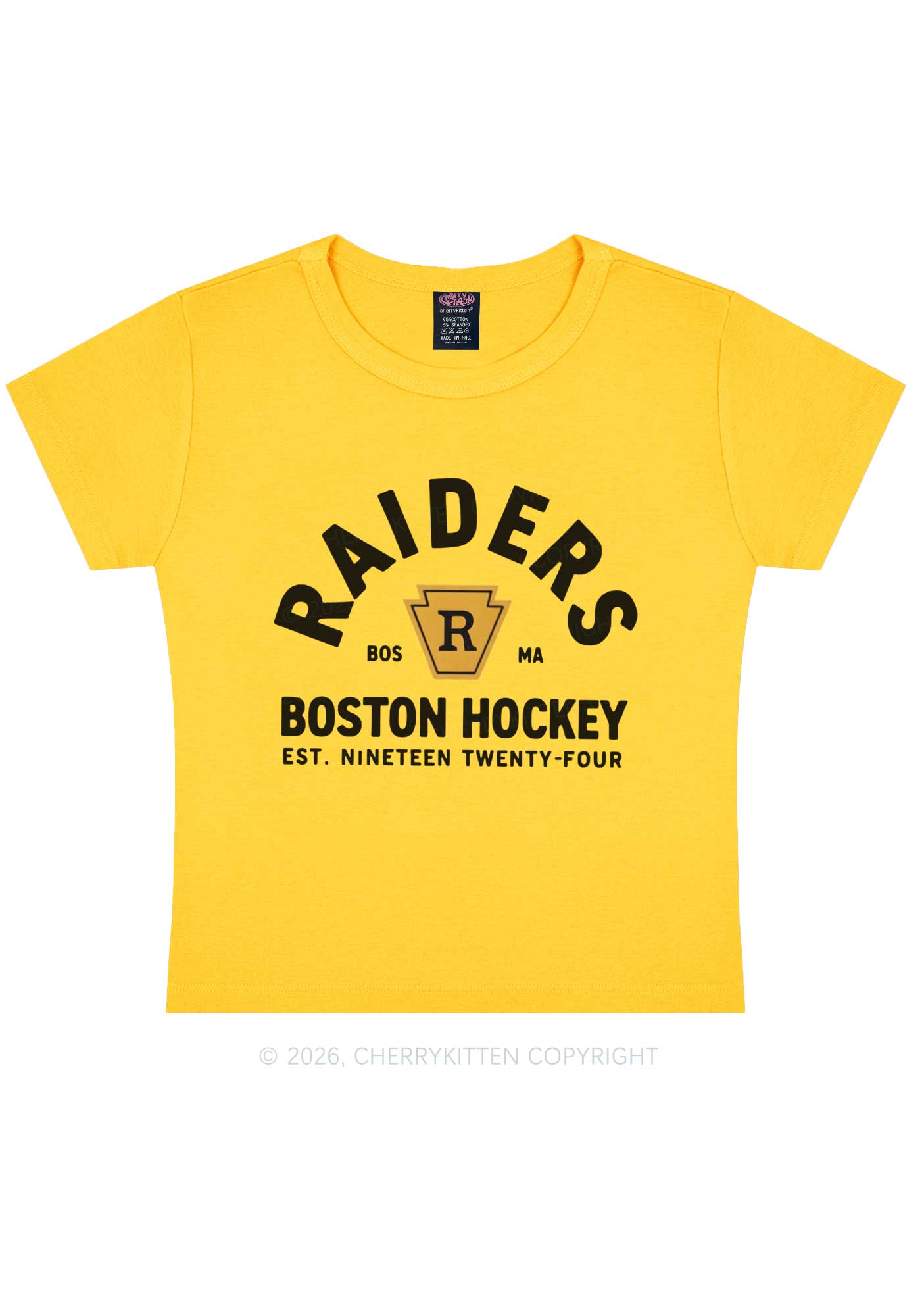 Boston Hockey HR Y2K Baby Tee Cherrykitten