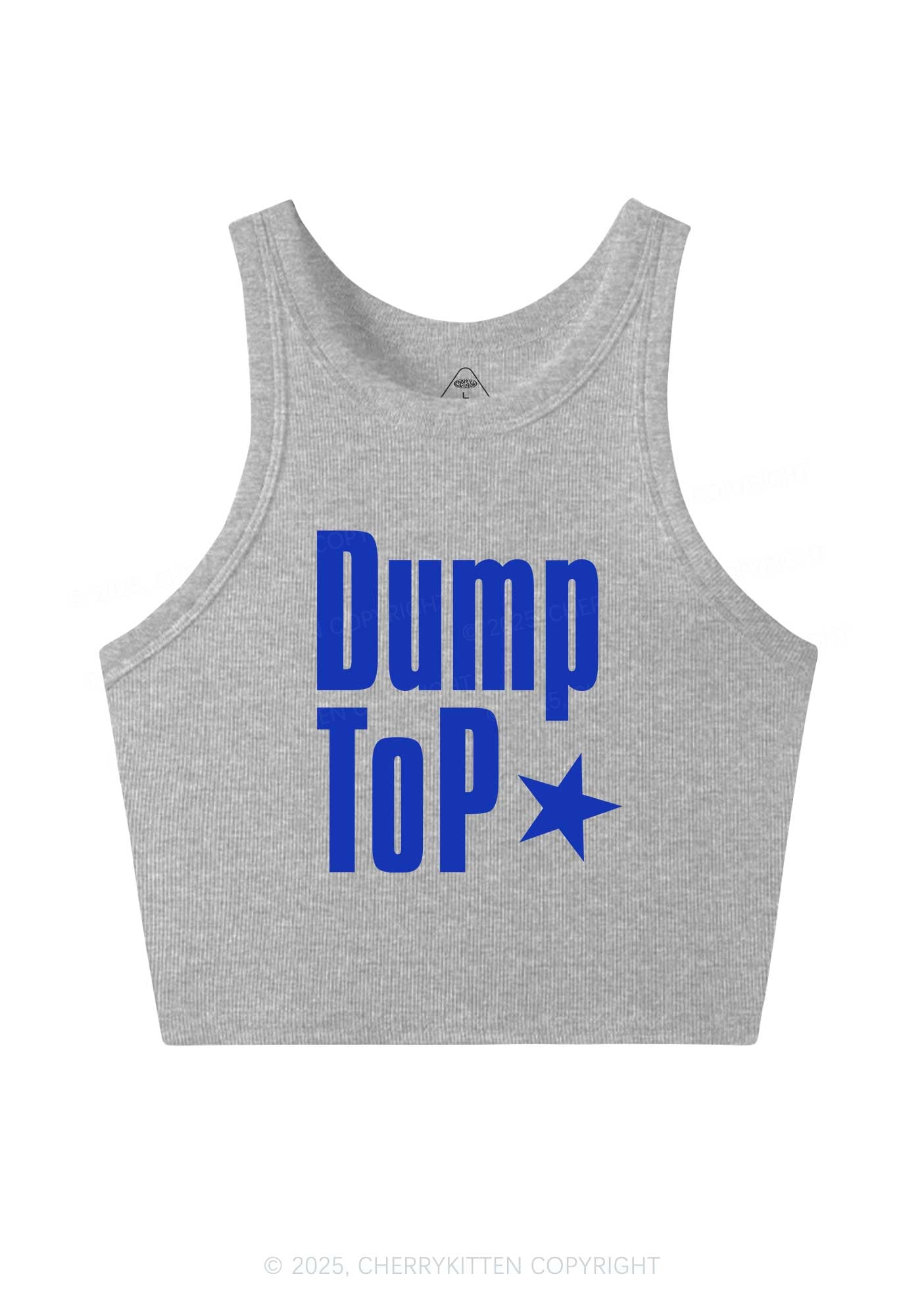 Dump Top Pride Y2K Crop Tank Top Cherrykitten