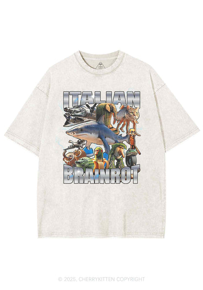 Italian Brainrot Collection Y2K Shirts Washed Tee Cherrykitten