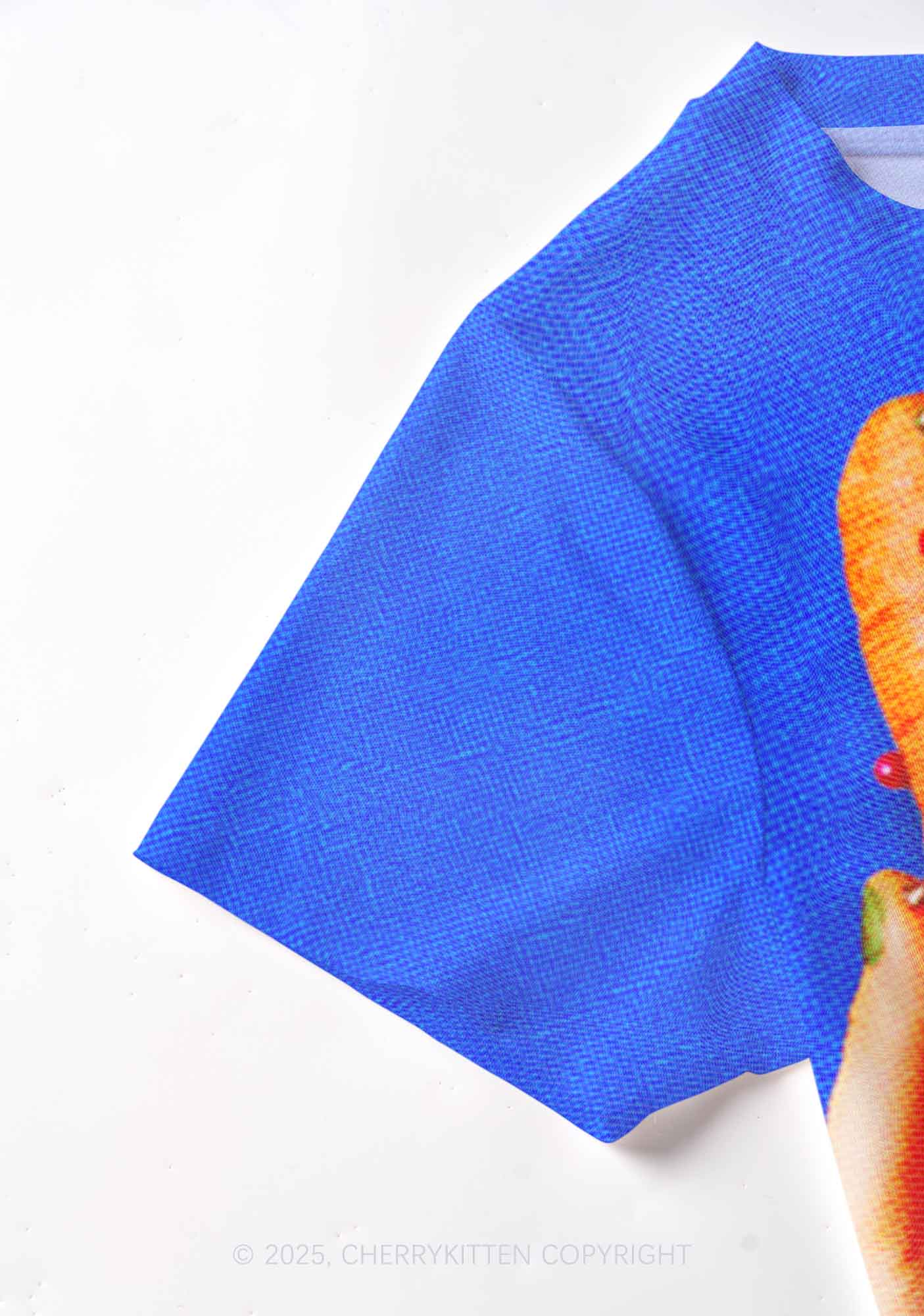 Carrots and Grapefruit Pride Y2K Mesh Crop Top Cherrykitten