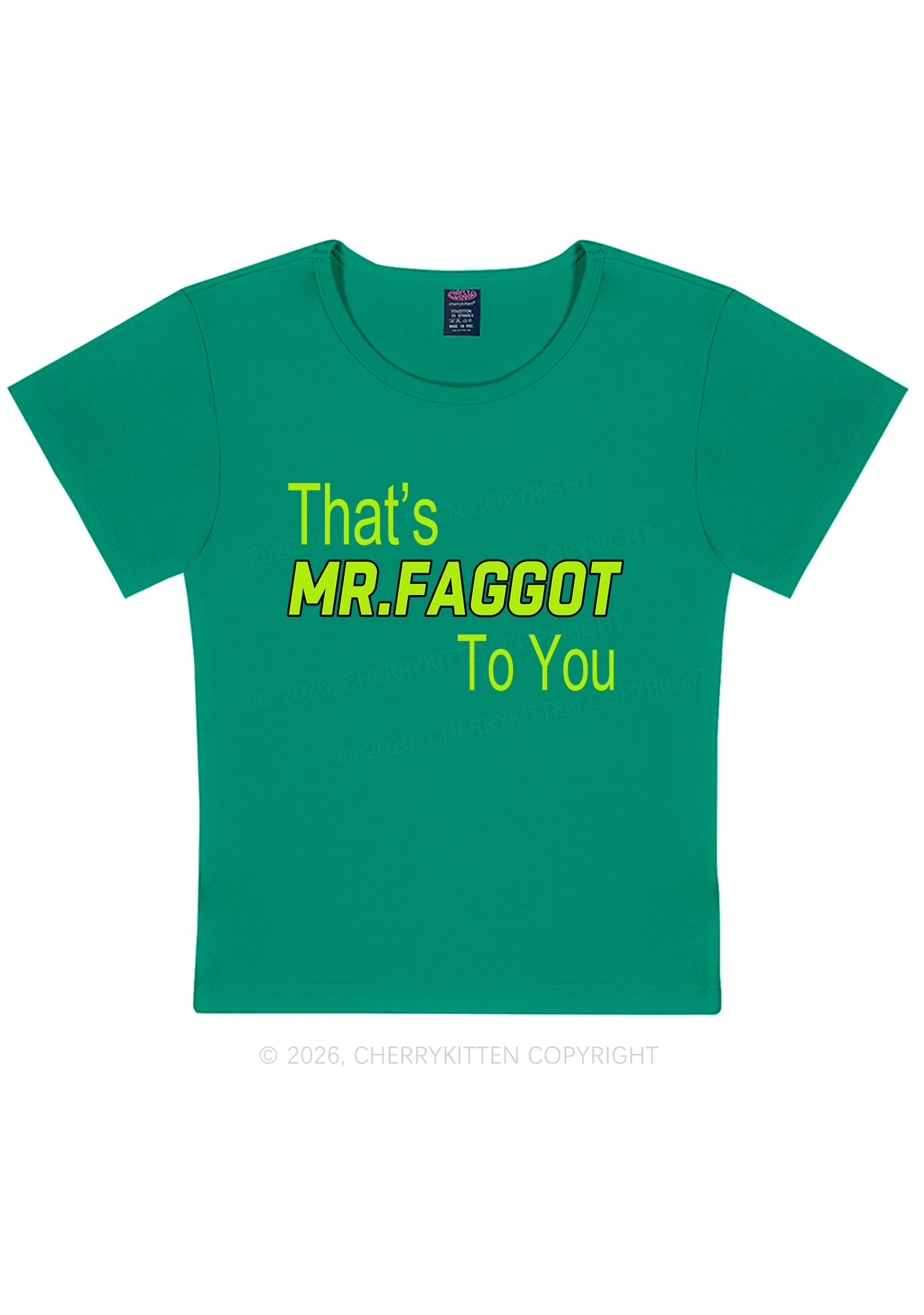 Thats Mr Faggot To You Pride Y2K Baby Tee Cherrykitten