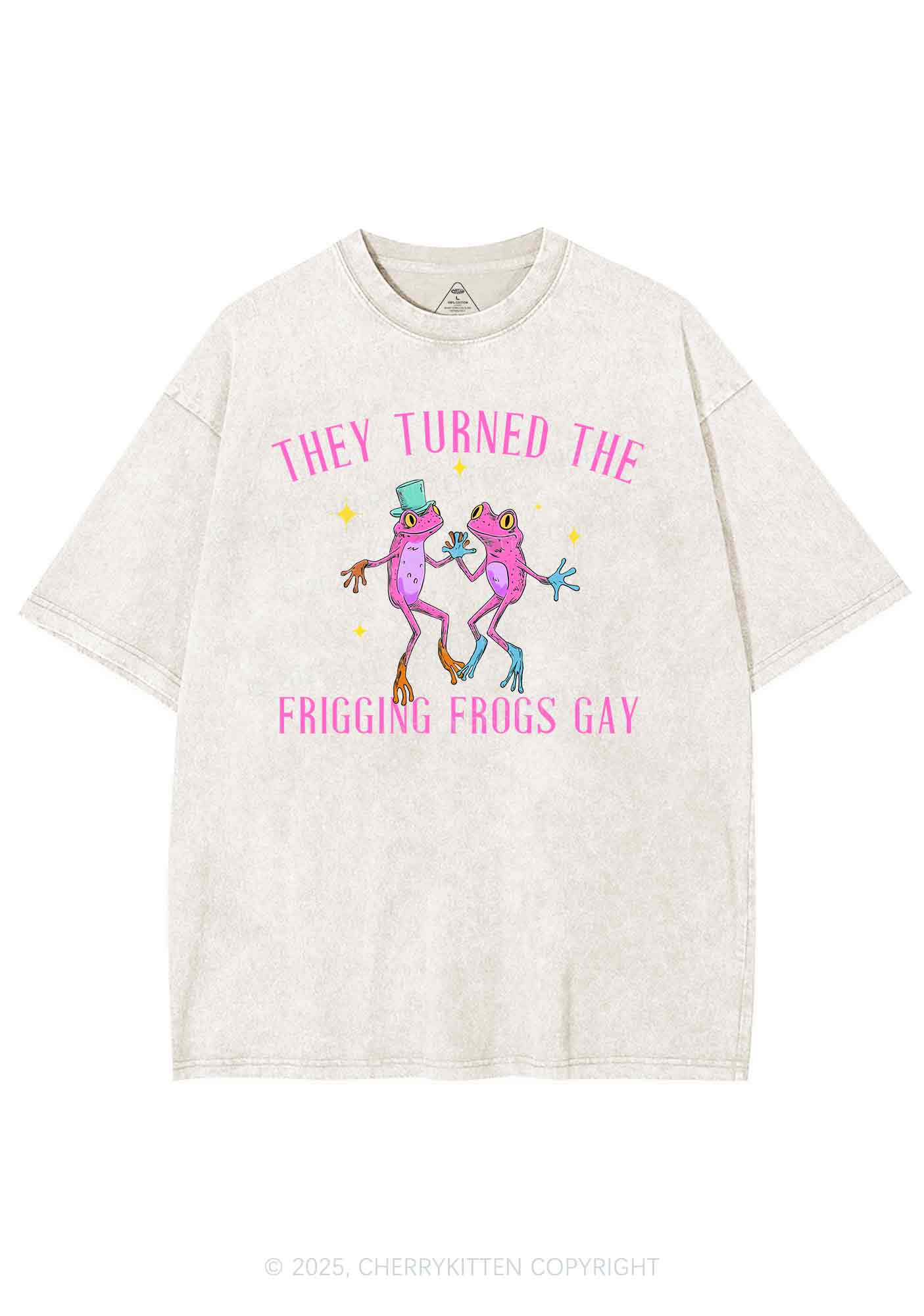 Frogs Gay Pride Y2K Shirts Washed Tee Cherrykitten