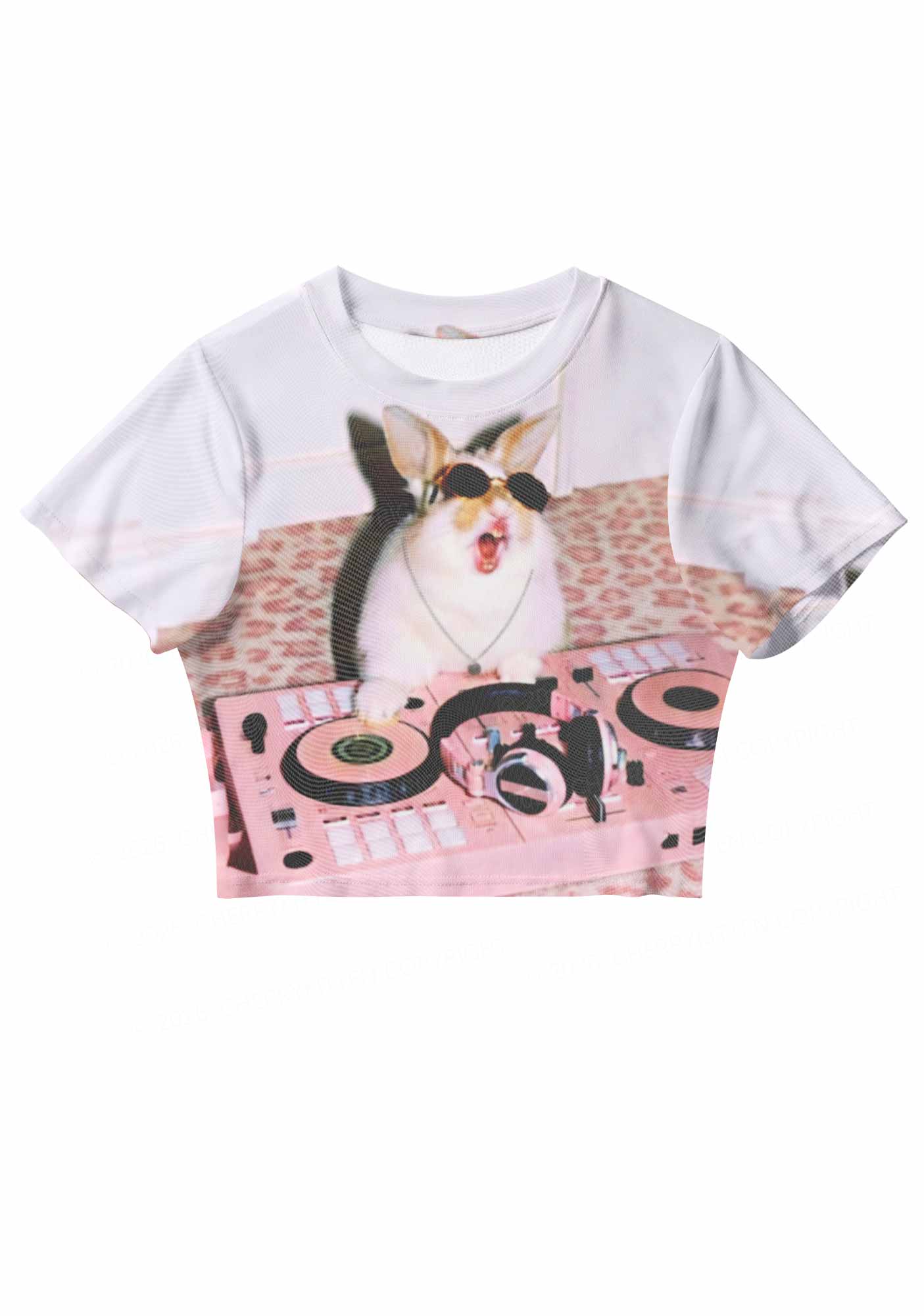 Dj Bunny Y2K Mesh Crop Top Cherrykitten