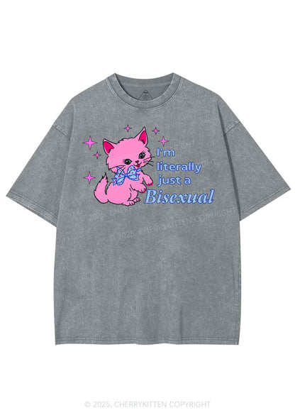 Literally Just A Bisexual Pride Y2K Shirts Washed Tee Cherrykitten