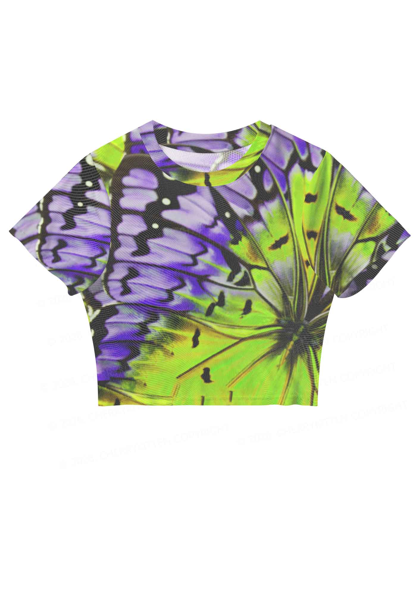 Purple Lime Butterfly Wing Y2K Mesh Crop Top Cherrykitten