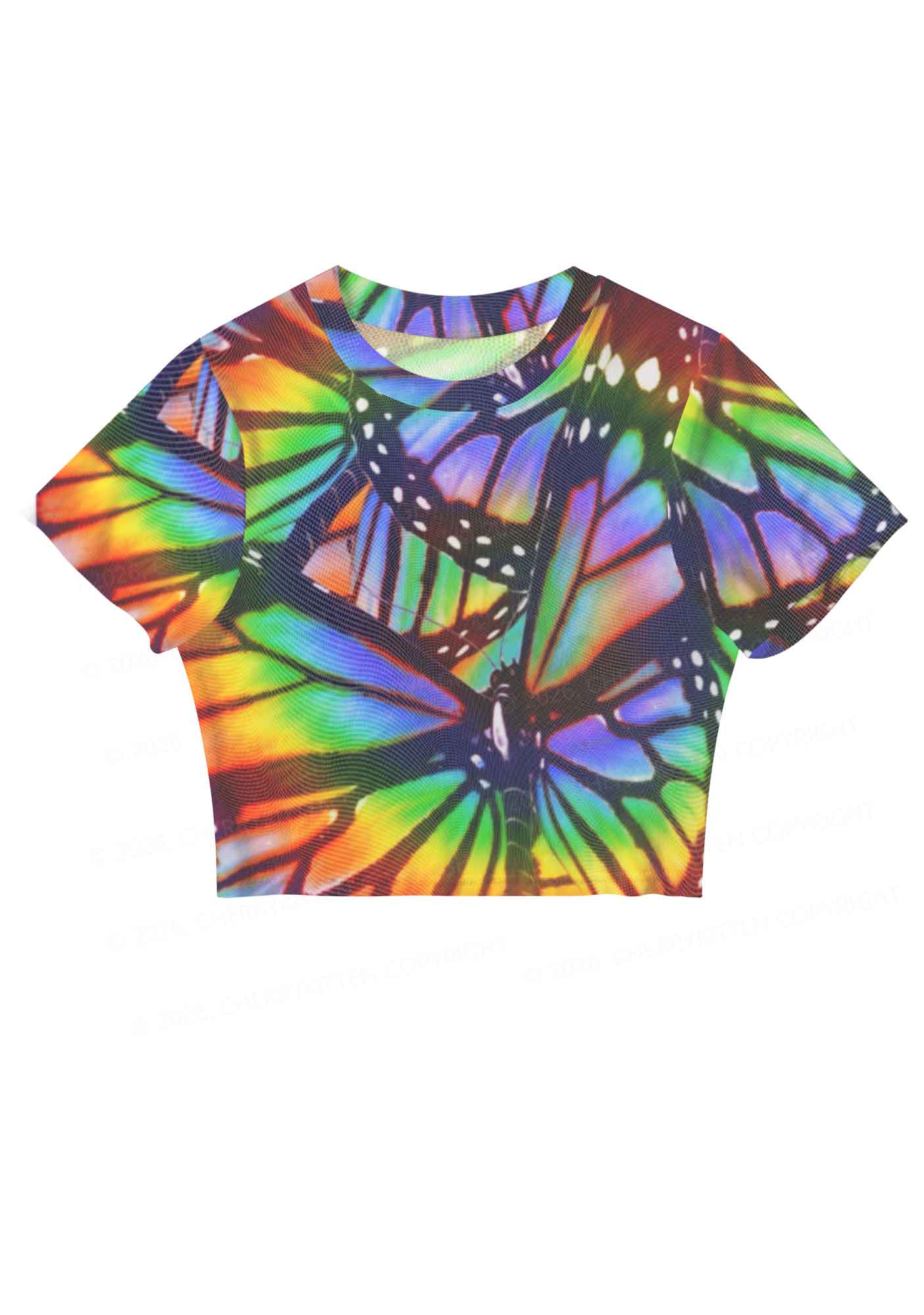Rainbow Butterfly Y2K Mesh Crop Top Cherrykitten