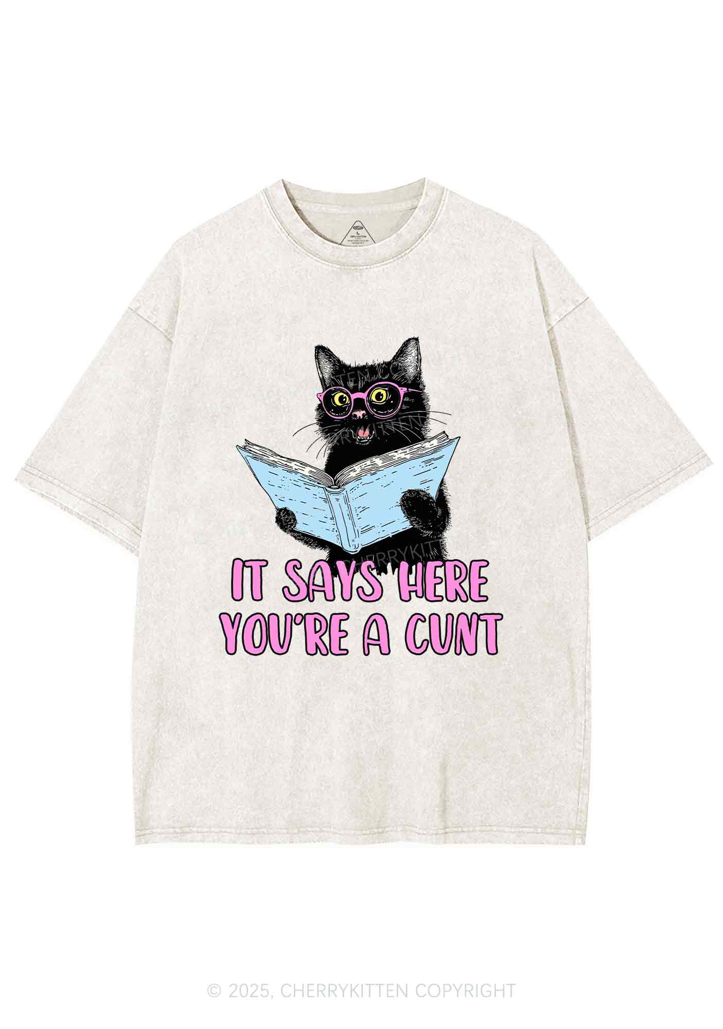 You Are A Cxxt Y2K Shirts Washed Tee Cherrykitten
