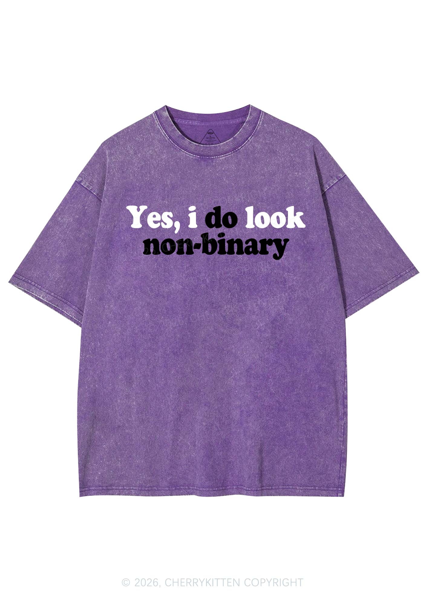I Do Look Nonbinary Pride Y2K Shirts Washed Tee Cherrykitten