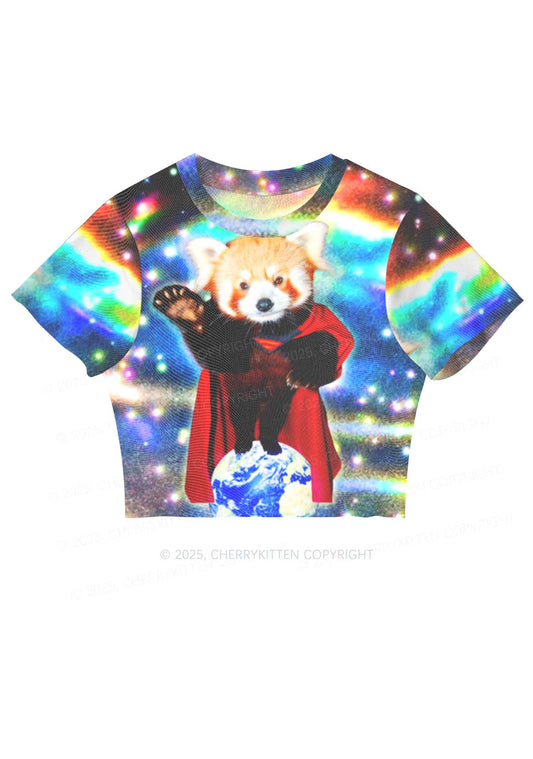 Super Raccoon Y2K Mesh Crop Top Cherrykitten