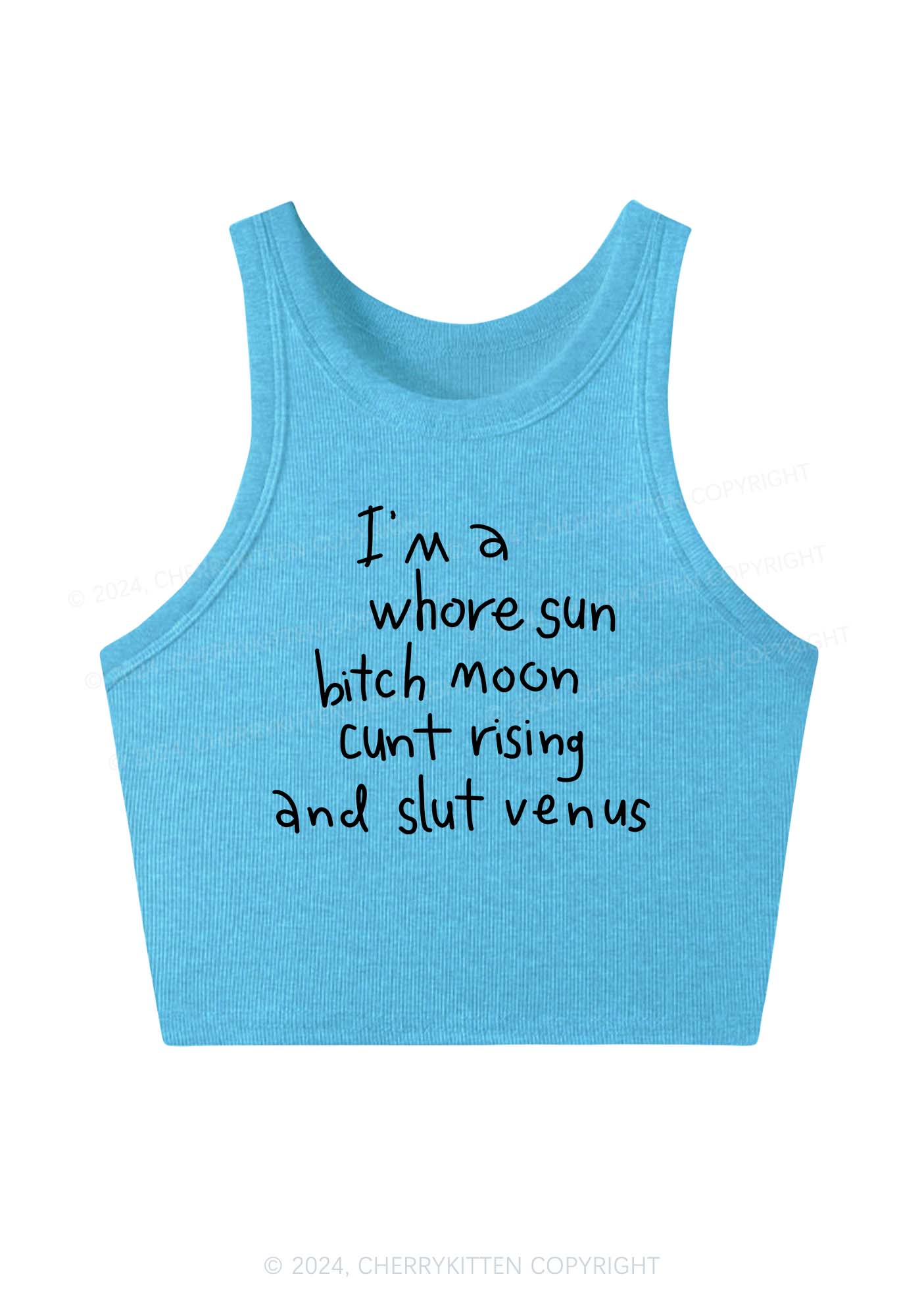 Whole Sun Bxxch Y2K Crop Tank Top Cherrykitten